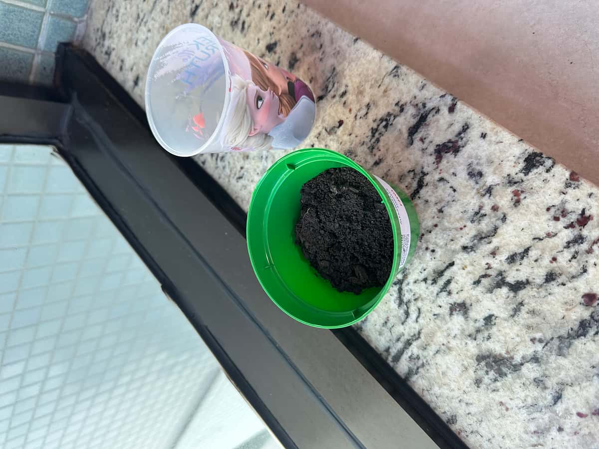 Plant